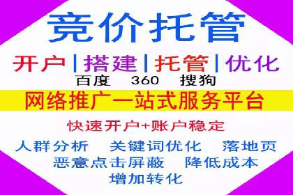 SEO与SEM优化案例：打造行业领先品牌